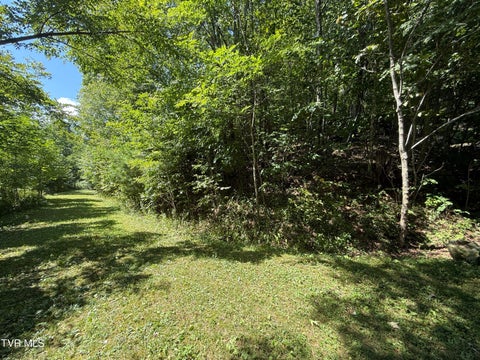 Vacant Land For Sale - TBD Overlook Drive #7<br/> Carter County, Roan Mountain, TN 37687