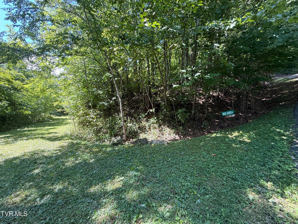 Photo of Tbd Overlook Drive #7, Roan Mountain, TN 37687 (MLS # 10000364)