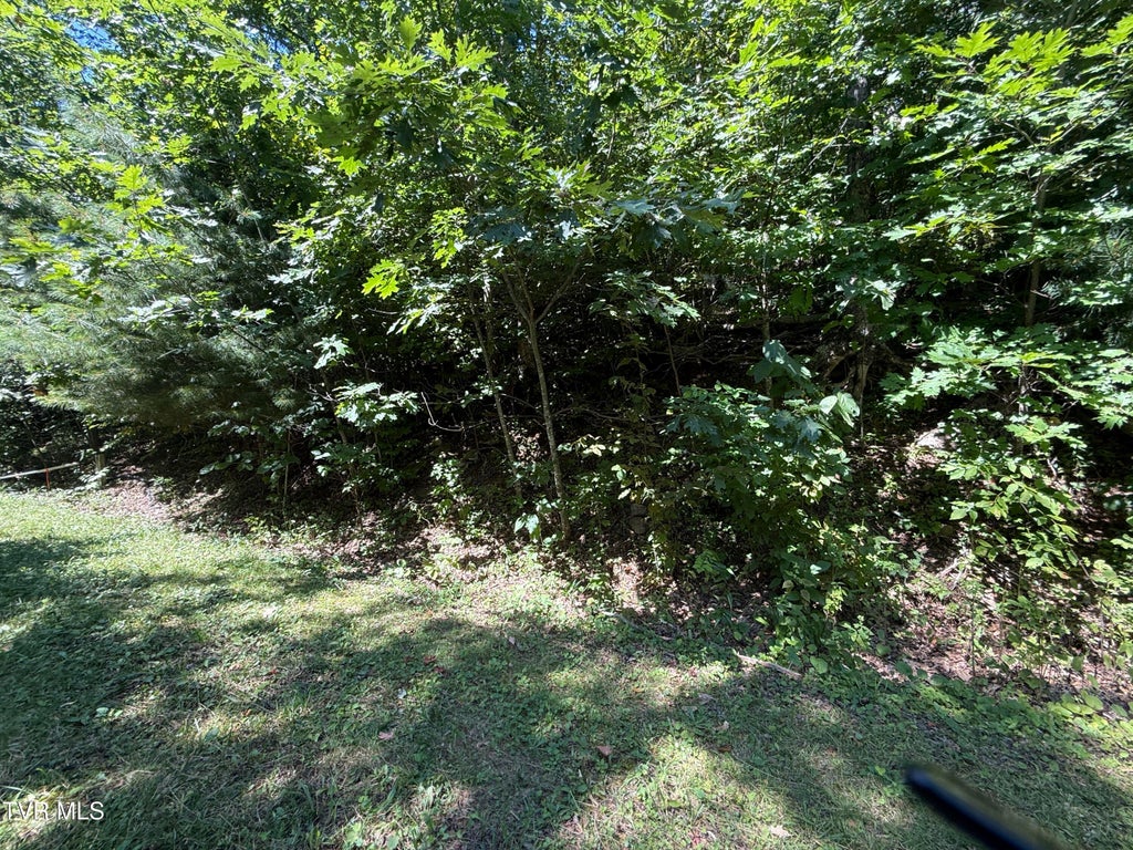Photo of Tbd Overlook Drive #7, Roan Mountain, TN 37687 (MLS # 10000364)