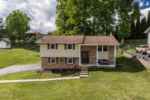 Photo of 464 Springfield Drive, Bristol, TN 37620 (MLS # 9995288)