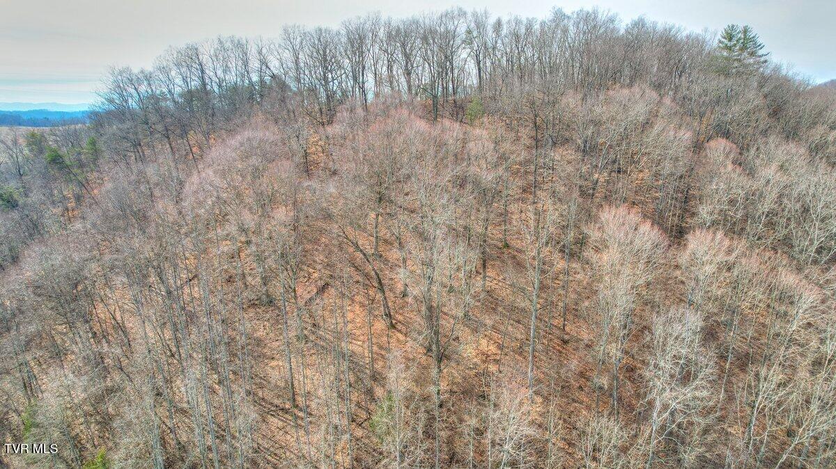 Tbd Big Hollow Road, Blountville, Tennessee image 3