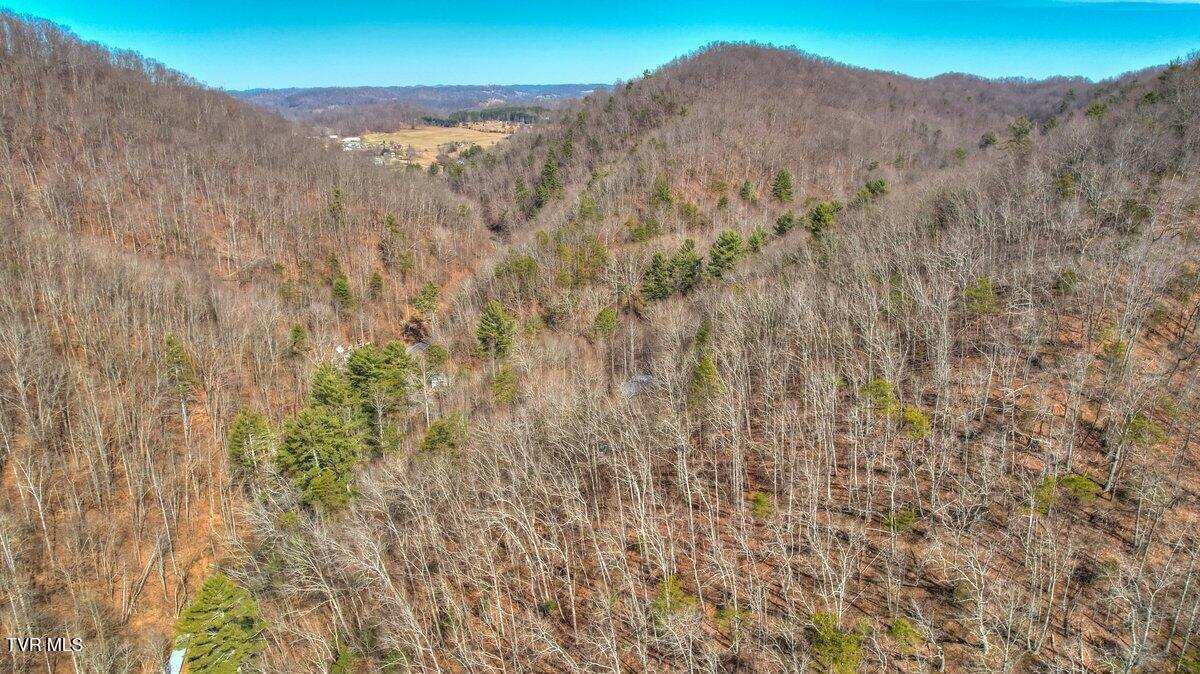 Tbd Big Hollow Road, Blountville, Tennessee image 6