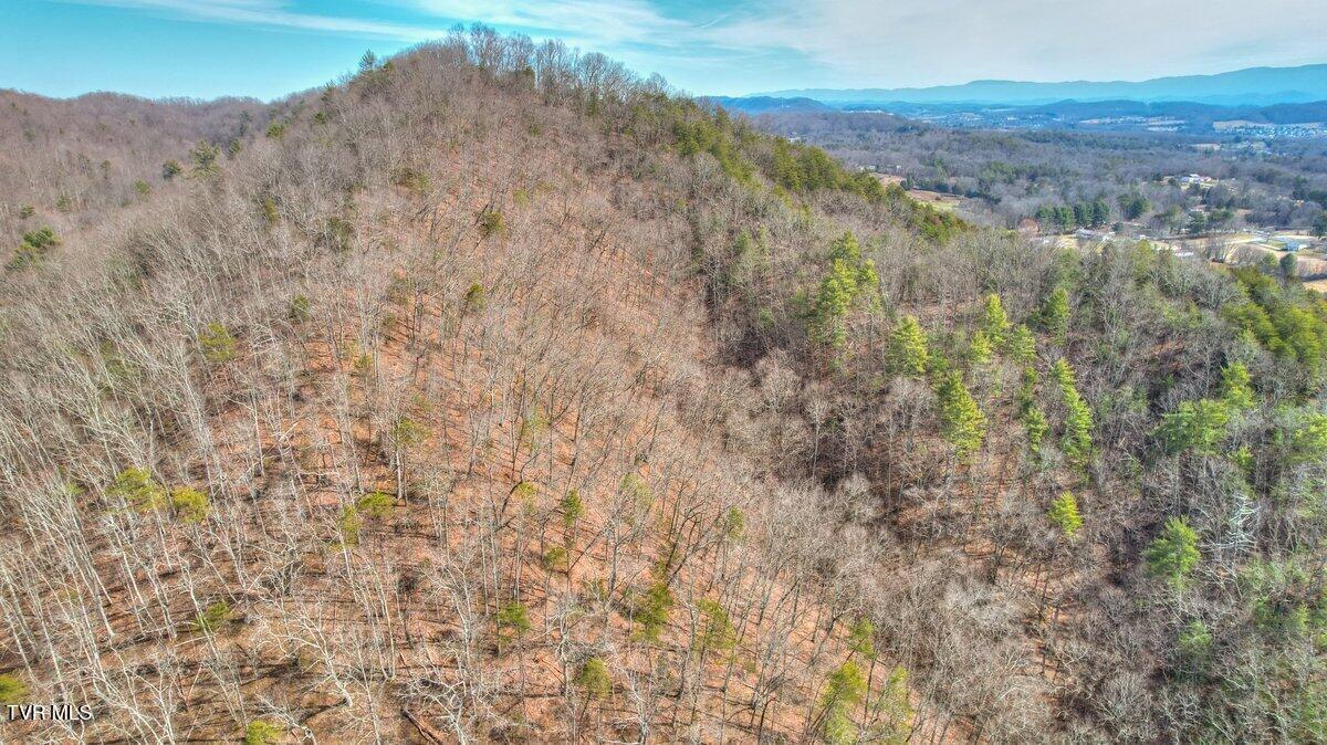 Tbd Big Hollow Road, Blountville, Tennessee image 7
