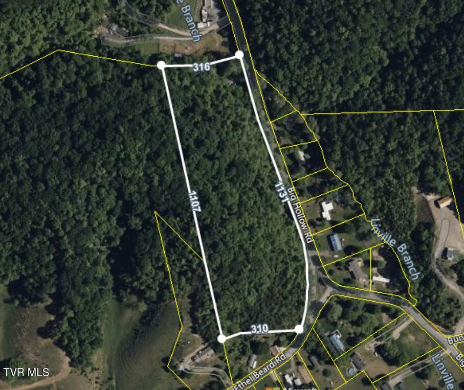 Tbd Big Hollow Road, Blountville, Tennessee image 1