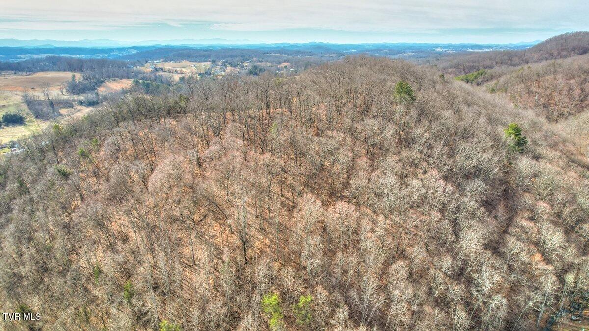 Tbd Big Hollow Road, Blountville, Tennessee image 9