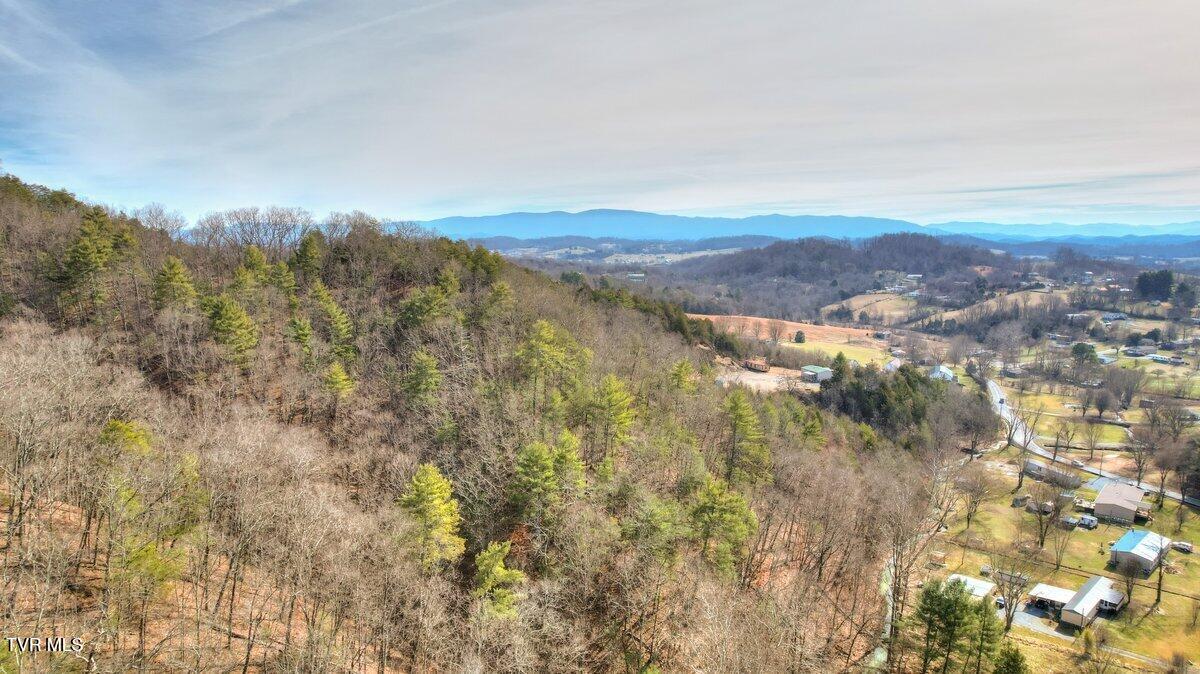 Tbd Big Hollow Road, Blountville, Tennessee image 2
