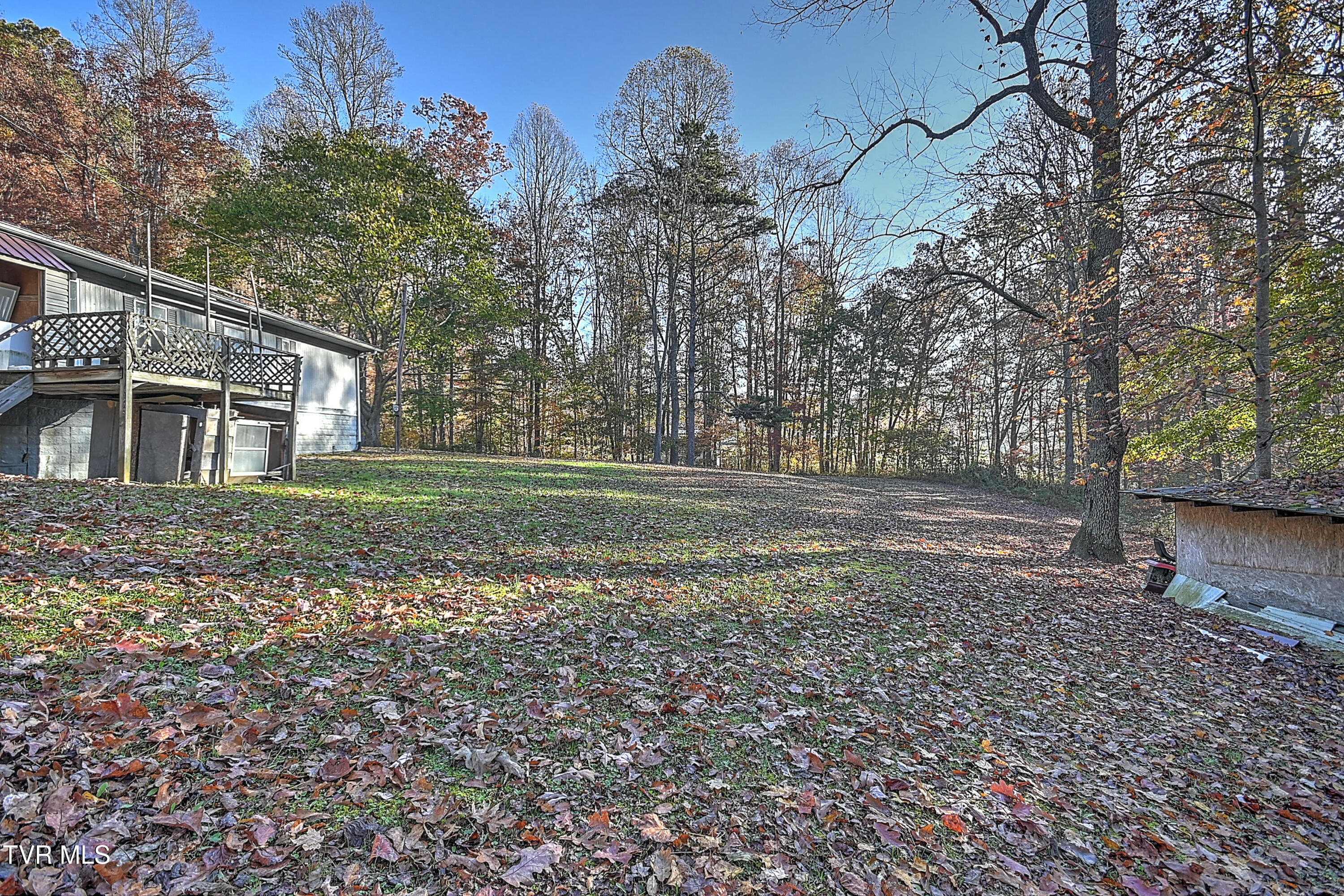 4404 Mabe Stanleytown Rd Rd, Duffield, Virginia image 9