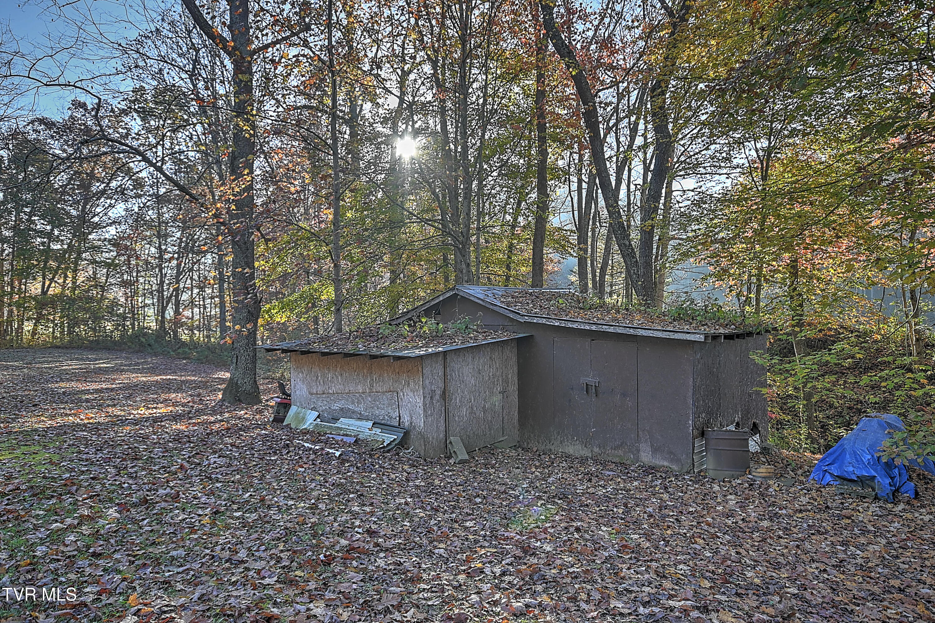 4404 Mabe Stanleytown Rd Rd, Duffield, Virginia image 10