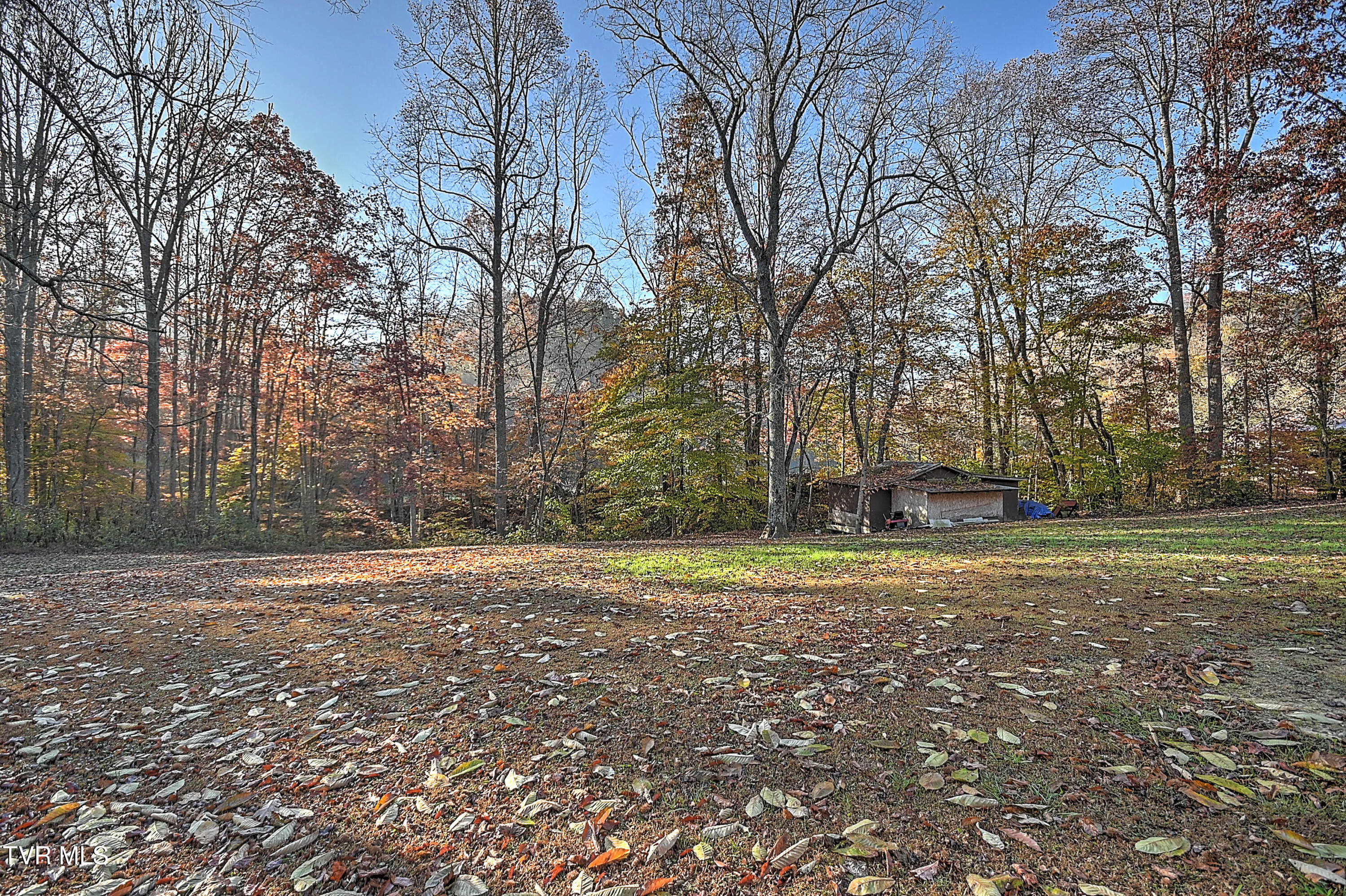4404 Mabe Stanleytown Rd Rd, Duffield, Virginia image 5