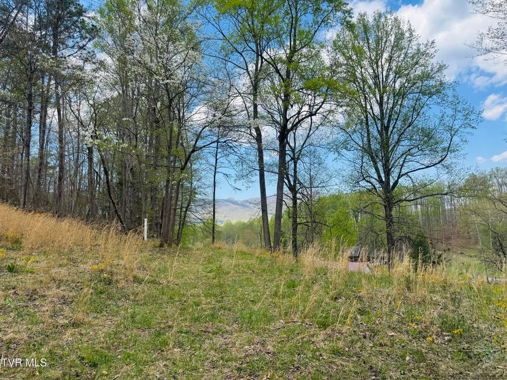 Photo of 160 Bob S Hollow Road, Elizabethton, TN 37643 (MLS # 9993783)