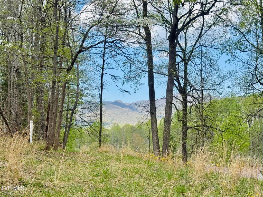Photo of 160 Bob S Hollow Road, Elizabethton, TN 37643 (MLS # 9993783)