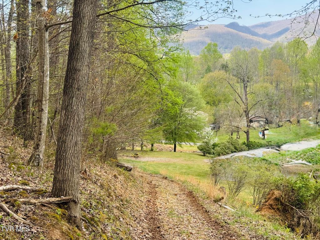 Photo of 160 Bob S Hollow Road, Elizabethton, TN 37643 (MLS # 9993783)