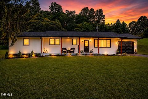 Photo of 1091 Shipley Ferry Road, Blountville, TN 37617 (MLS # 9995865)