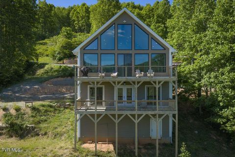 Photo of 683 Lakeridge Drive, Butler, TN 37640 (MLS # 9995663)