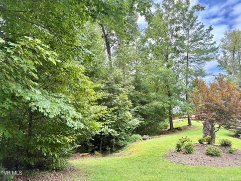 Vacant Land For Sale - LOT 30 Rock Island Ln<br/> Butler, TN 37640