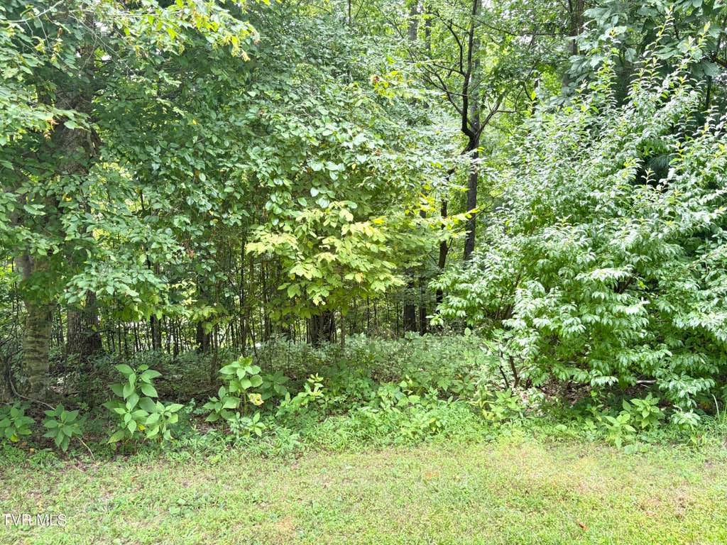 Photo of 30 Rock Island LN, Butler, TN 37640 (MLS # 9997650)