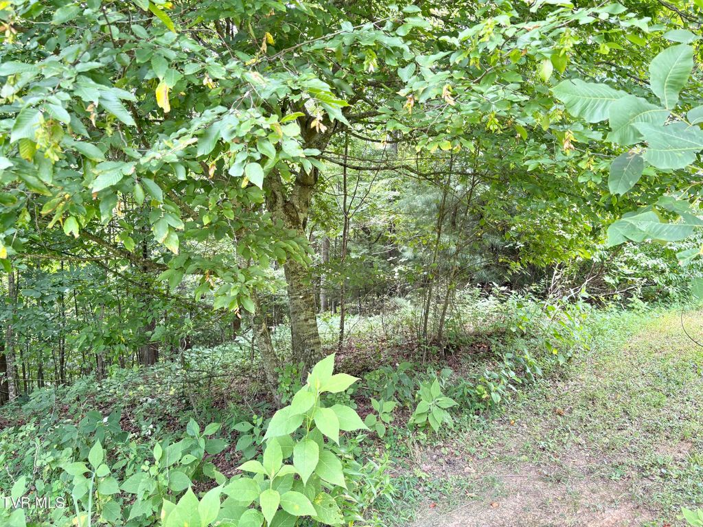 Photo of 30 Rock Island LN, Butler, TN 37640 (MLS # 9997650)