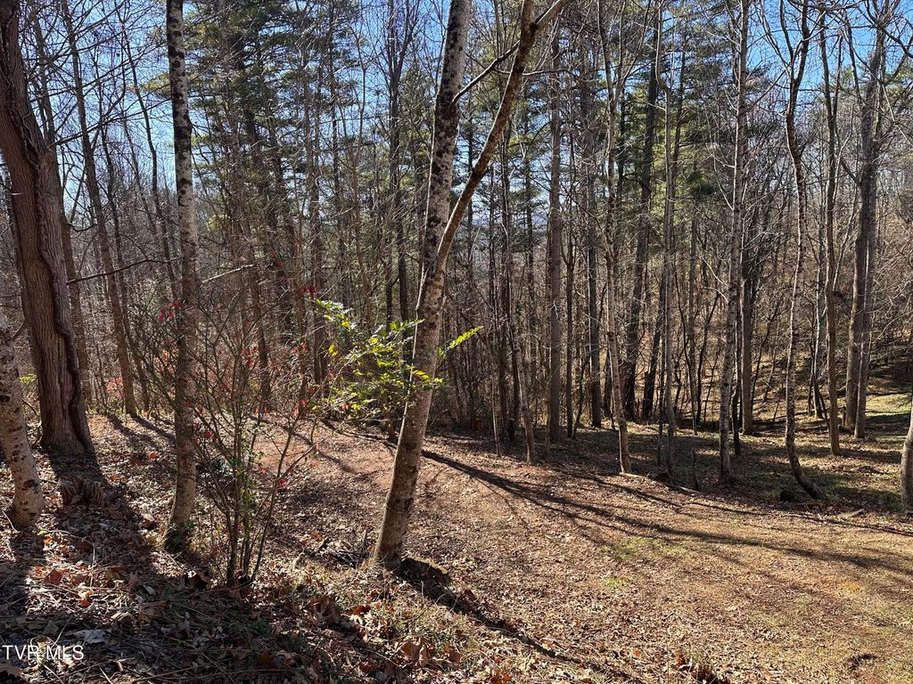 Photo of Tbd Longview Drive Drive, Saint Paul, VA 24283 (MLS # 9988395)