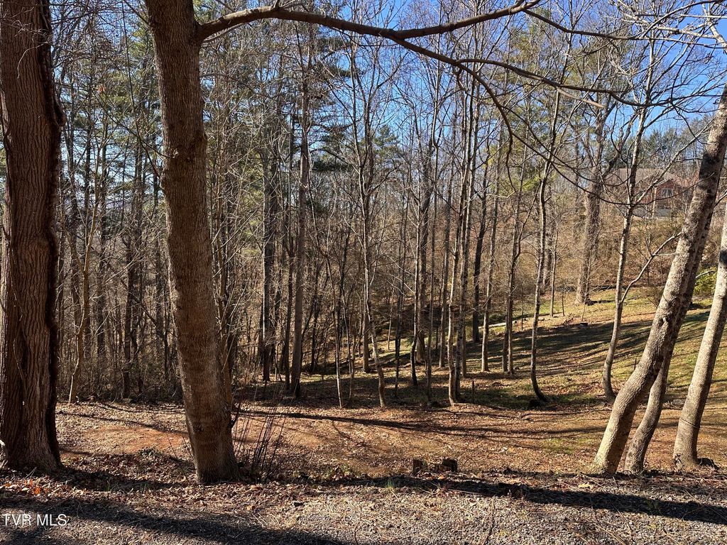 Photo of Tbd Longview Drive Drive, Saint Paul, VA 24283 (MLS # 9988395)