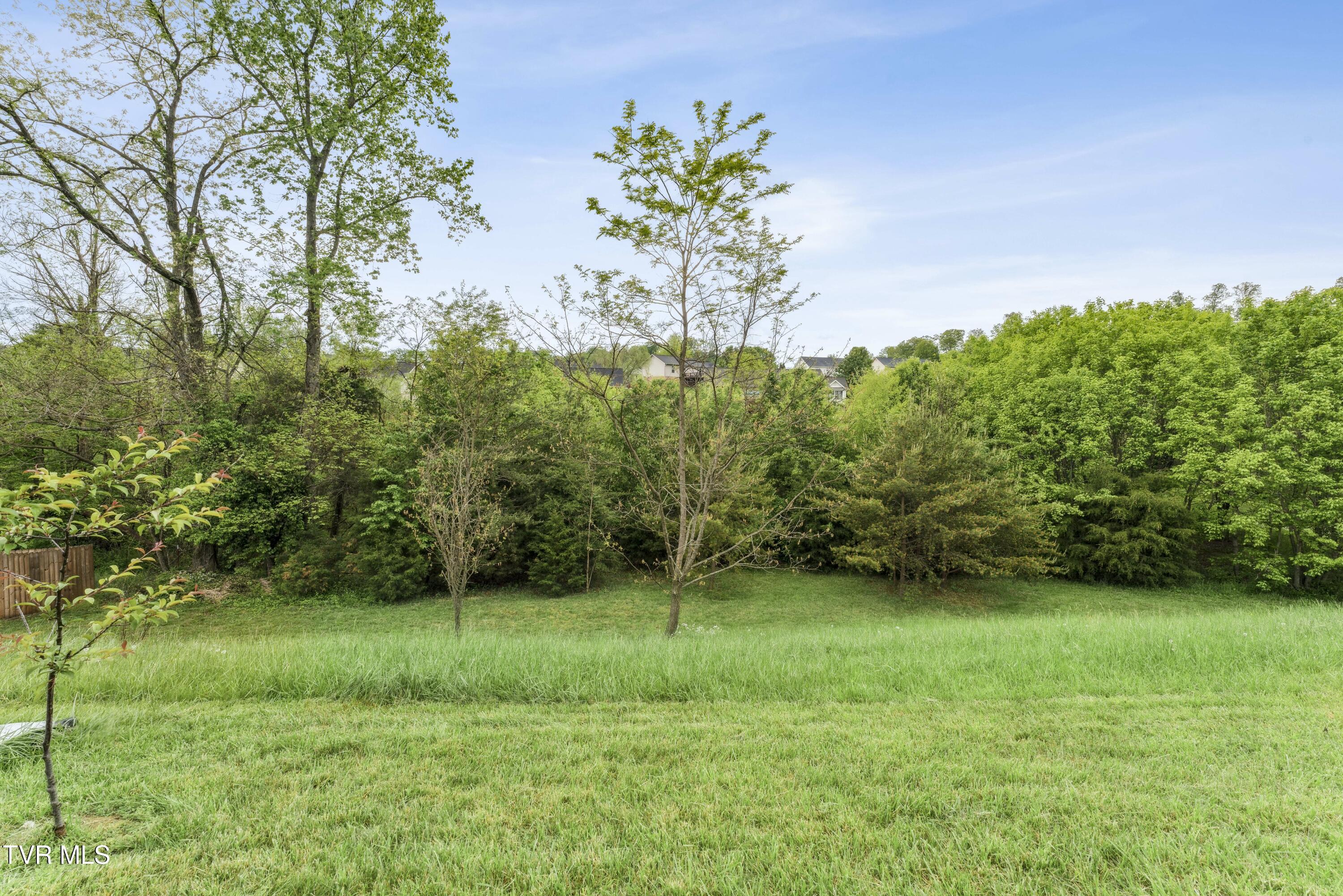 1901 Ida Sue Drive, Jonesborough, Tennessee image 39