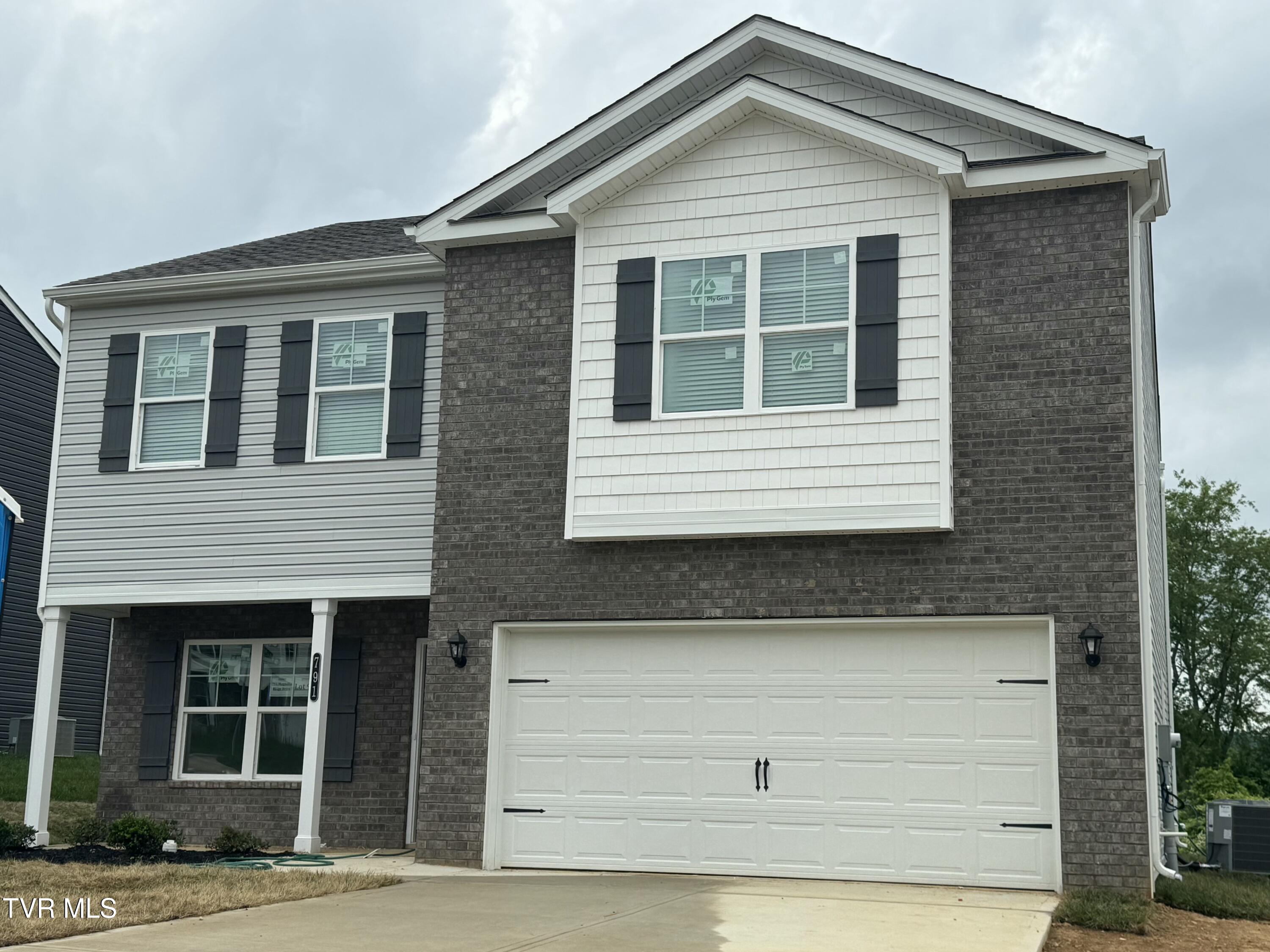 791 Magnolia Ridge Drive, Blountville, Tennessee image 1