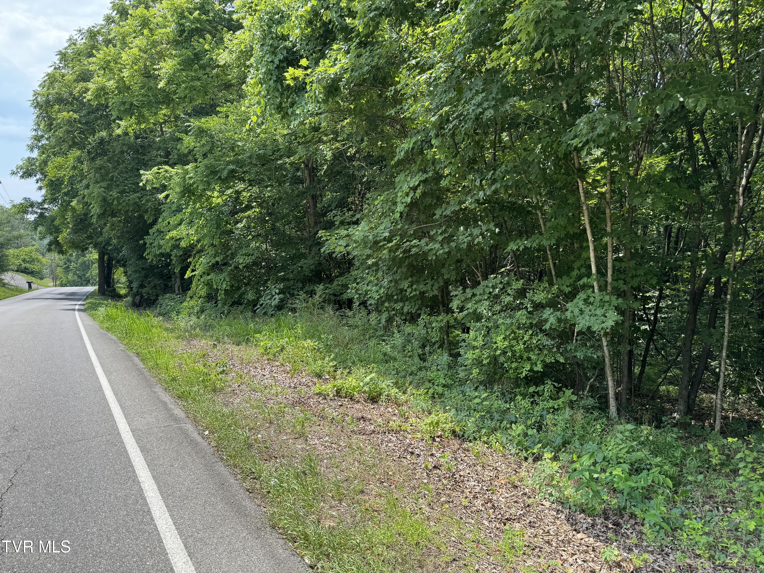 Tbd Cooks Valley Road, Kingsport, Tennessee image 8