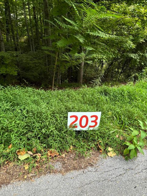 Vacant Land For Sale - 203 Ox Bow Ave<br/> Unicoi County, Unicoi, TN 37692