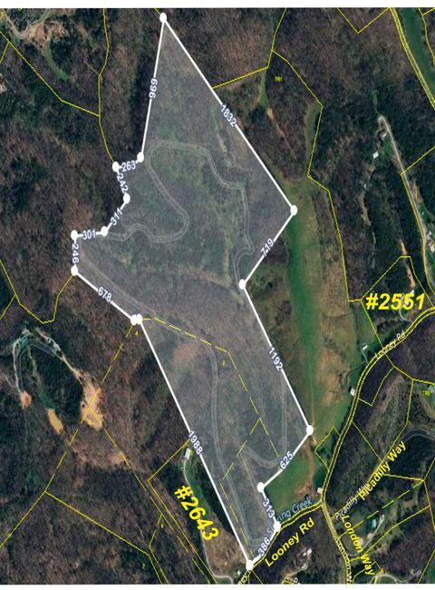 Vacant Land For Sale - 0000 Looney Rd Off<br/> Parrottsville, TN 37843
