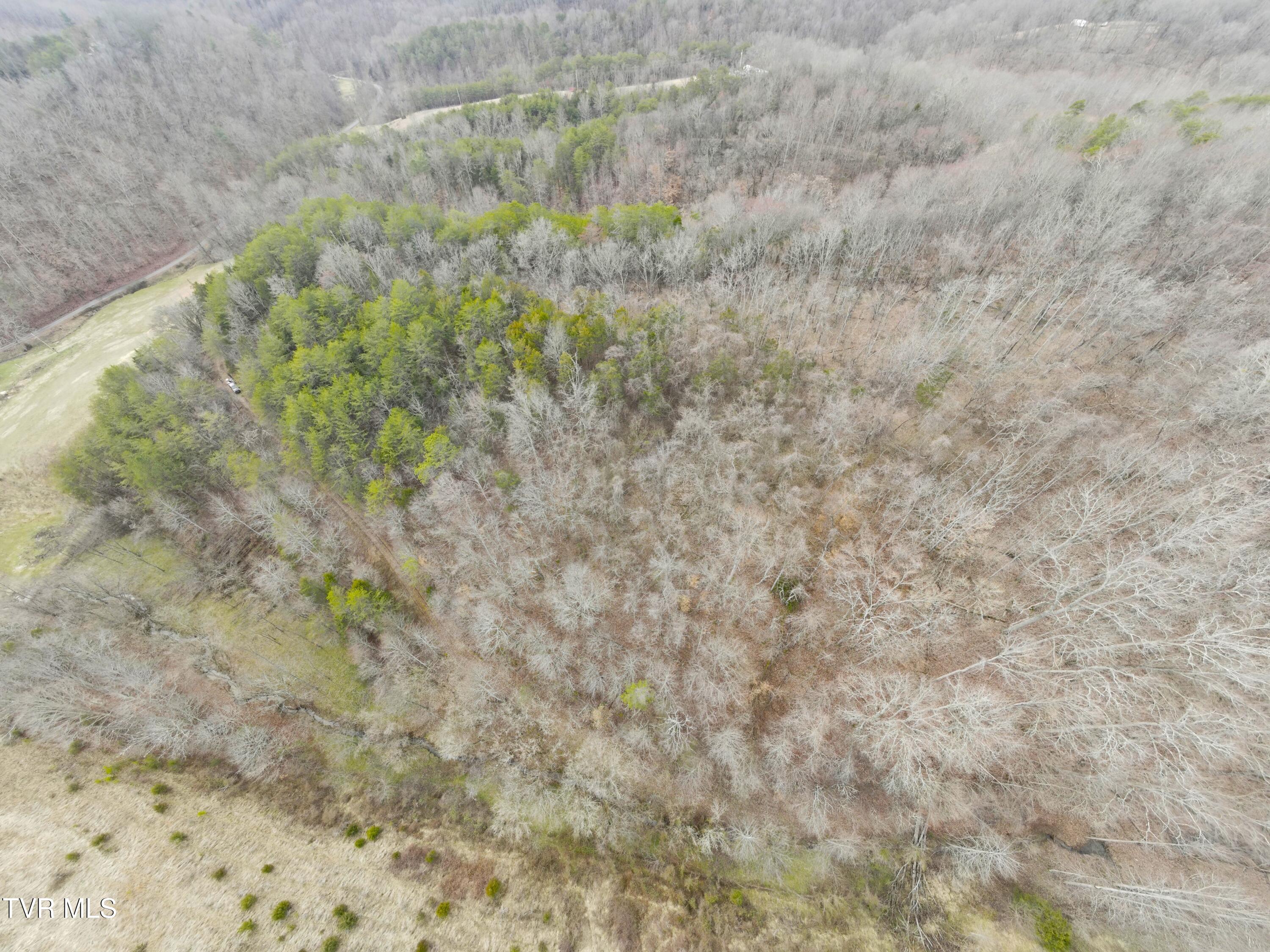 0000 Looney Rd Off, Parrottsville, Tennessee image 30