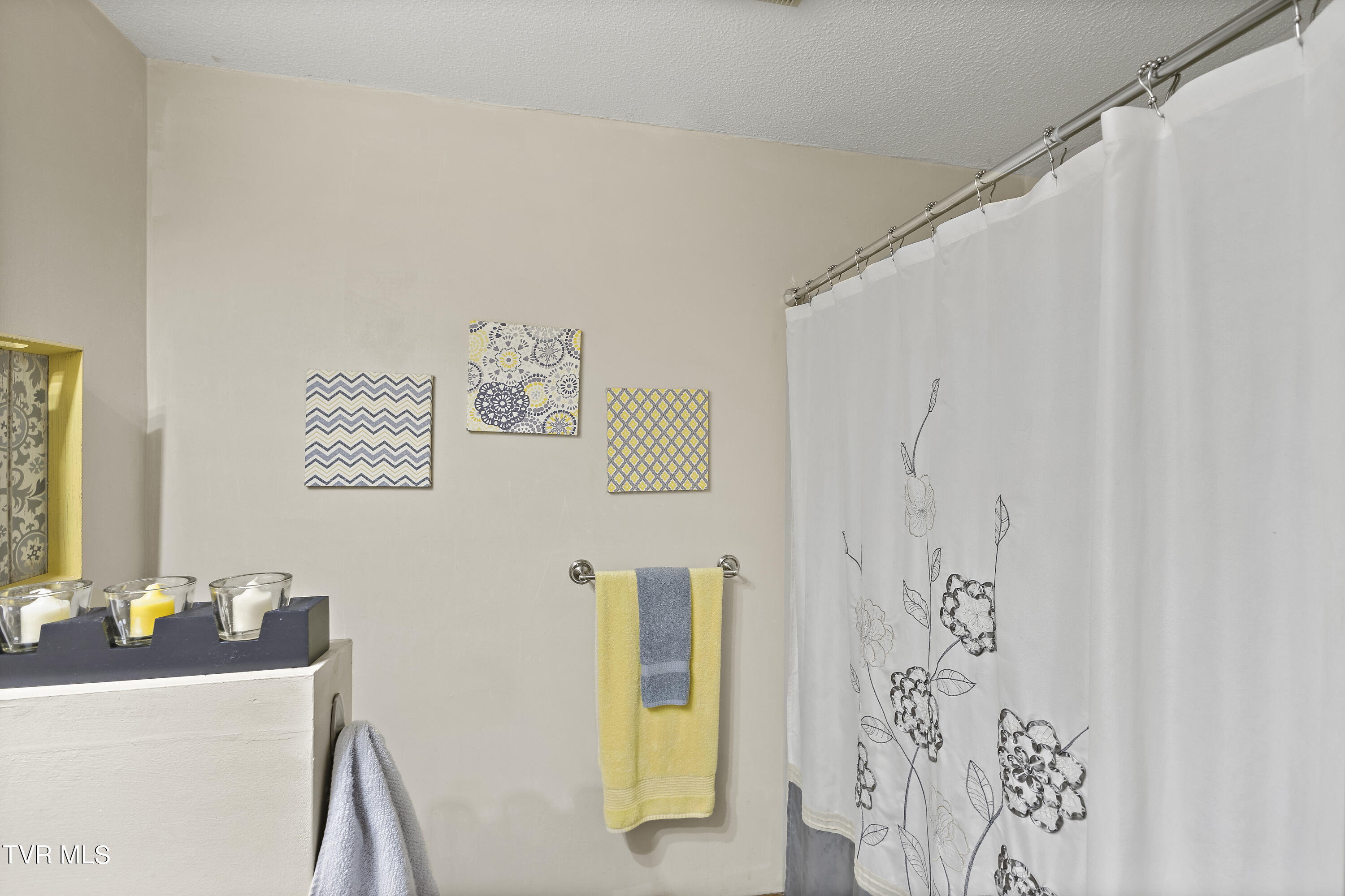 120 Rocky Branch Road, Elizabethton, Tennessee image 30