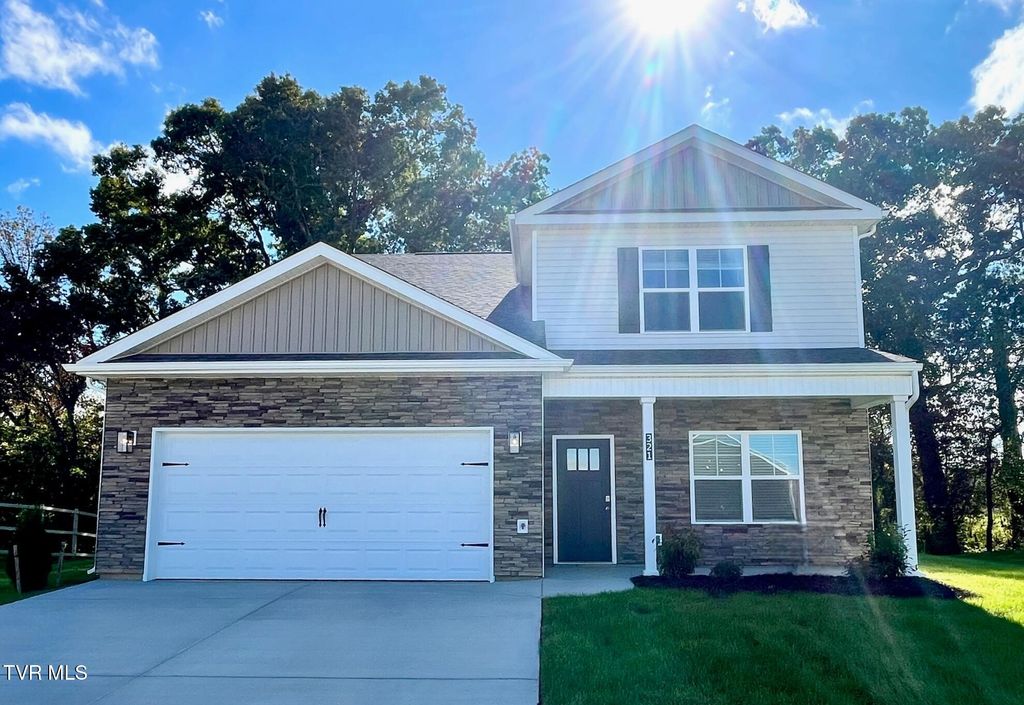 Photo of 321 Cookie Loop Loop, Johnson City, TN 37615 (MLS # 9980493)