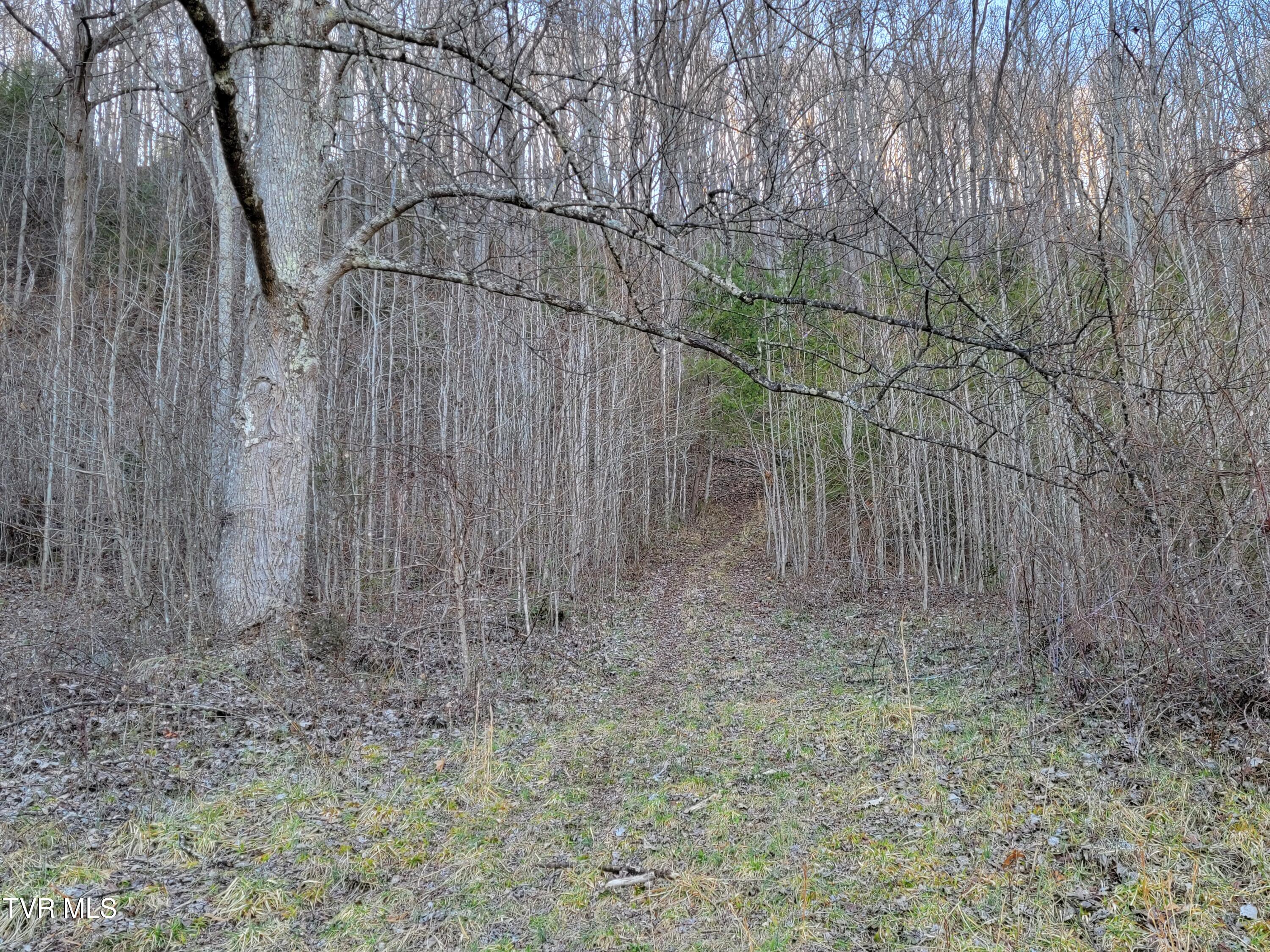 1701 Jonesborough Road, Erwin, Tennessee image 34