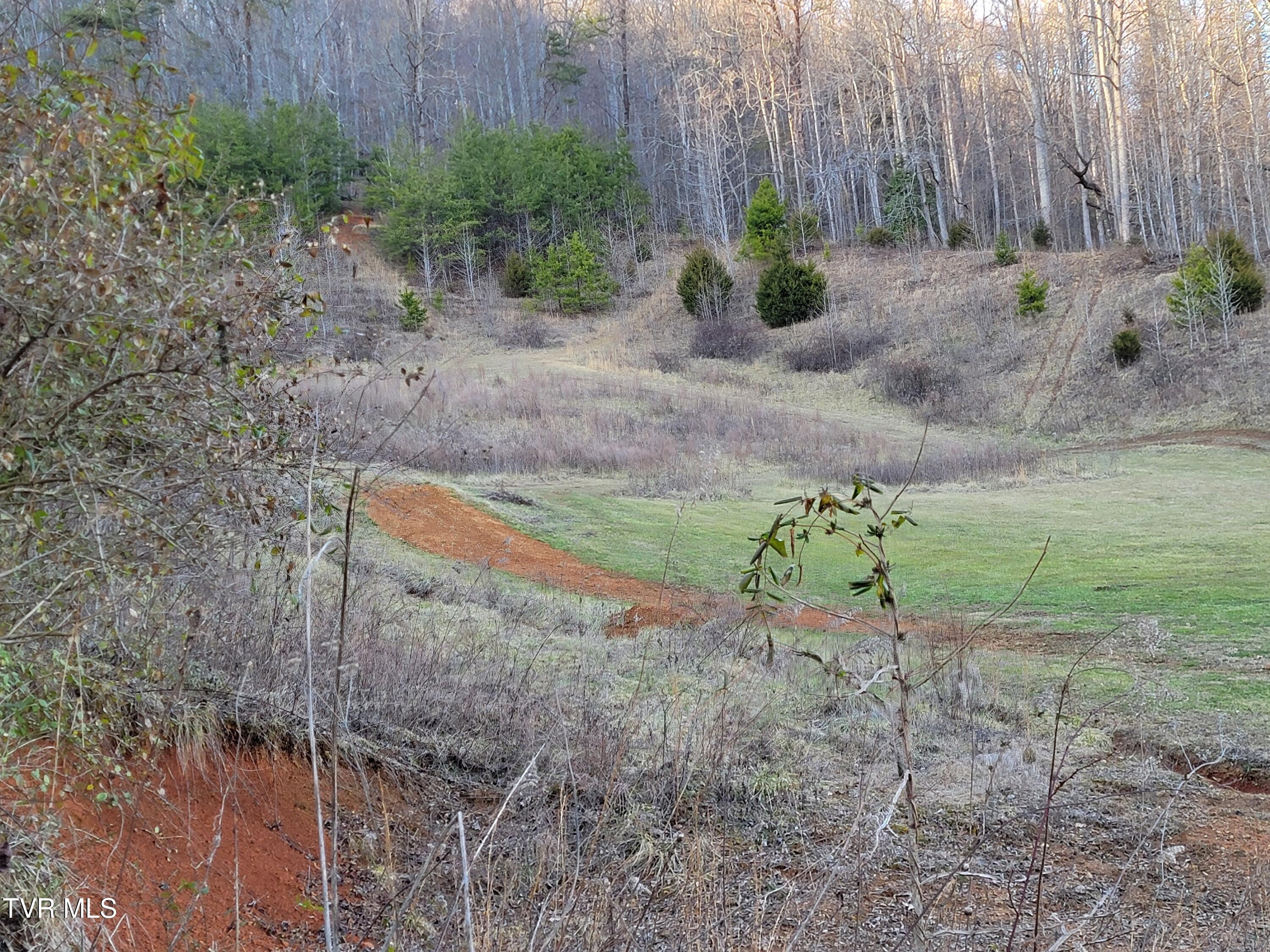 1701 Jonesborough Road, Erwin, Tennessee image 42