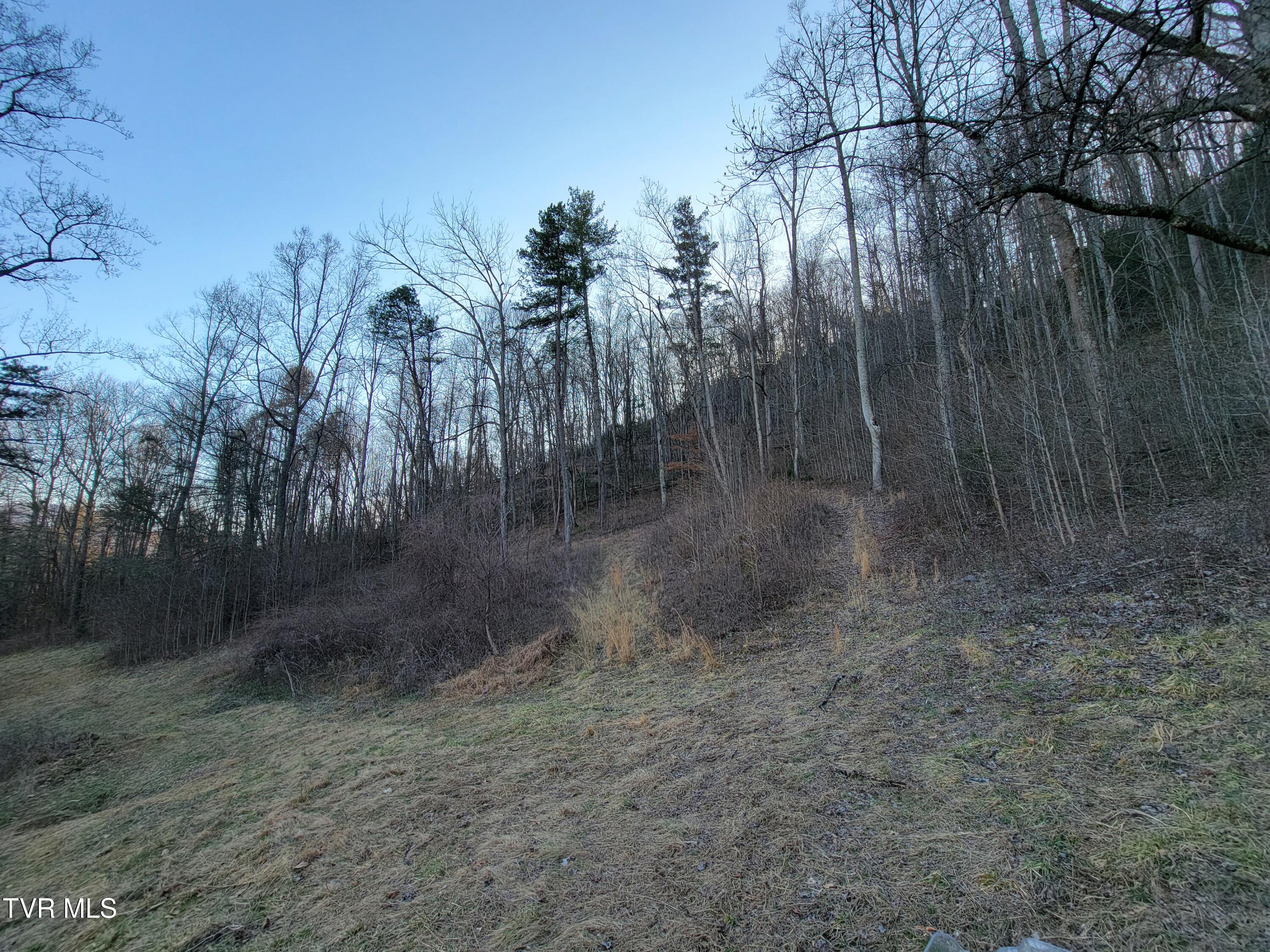 1701 Jonesborough Road, Erwin, Tennessee image 33