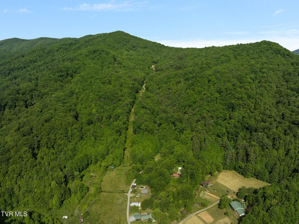 Photo of 685 Tipton Branch Road, Flag Pond, TN 37657 (MLS # 9995940)