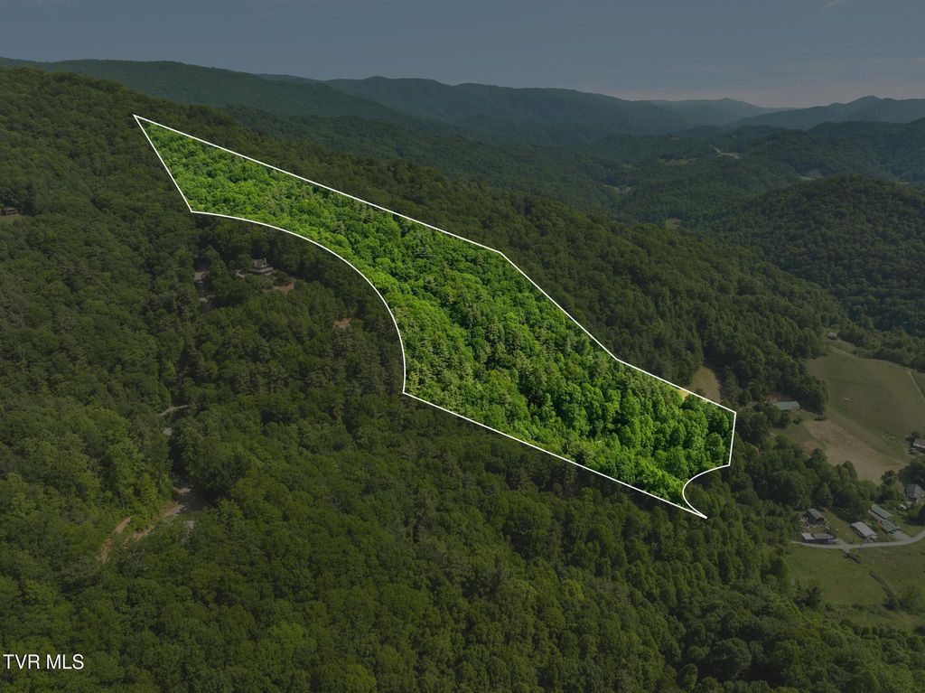 Photo of 685 Tipton Branch Road, Flag Pond, TN 37657 (MLS # 9995940)