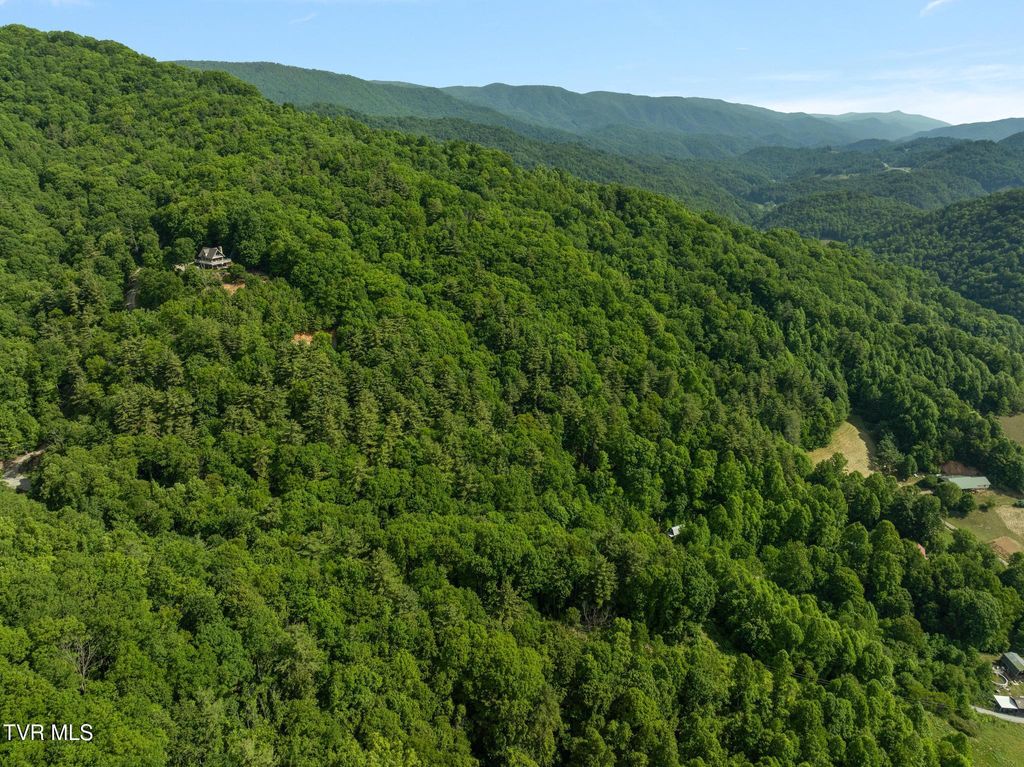 Photo of 685 Tipton Branch Road, Flag Pond, TN 37657 (MLS # 9995940)