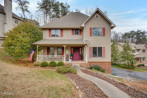 Photo of 171 Aston Court, Kingsport, TN 37660 (MLS # 9989037)