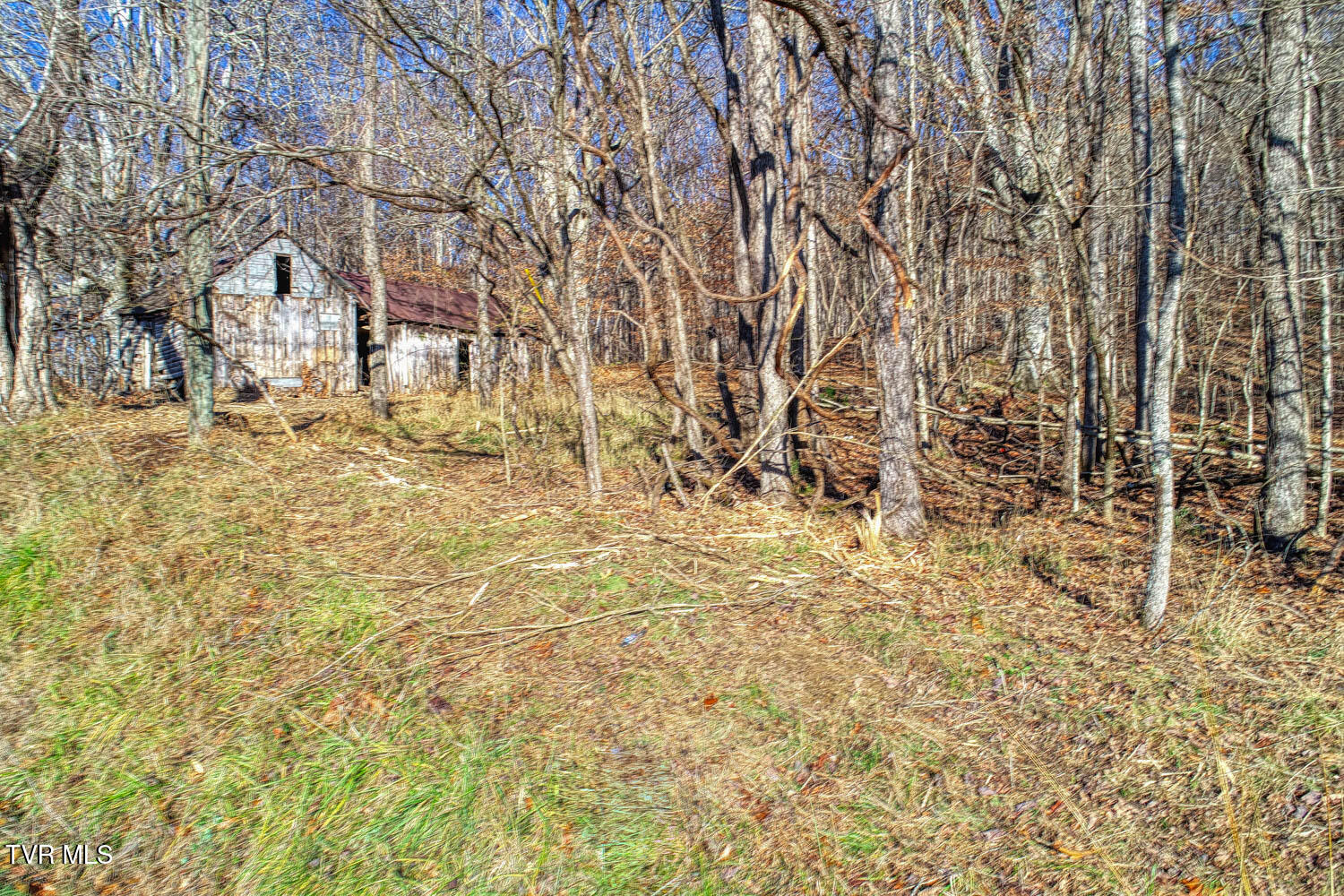 Tbd Flora Road, Rogersville, Tennessee image 49