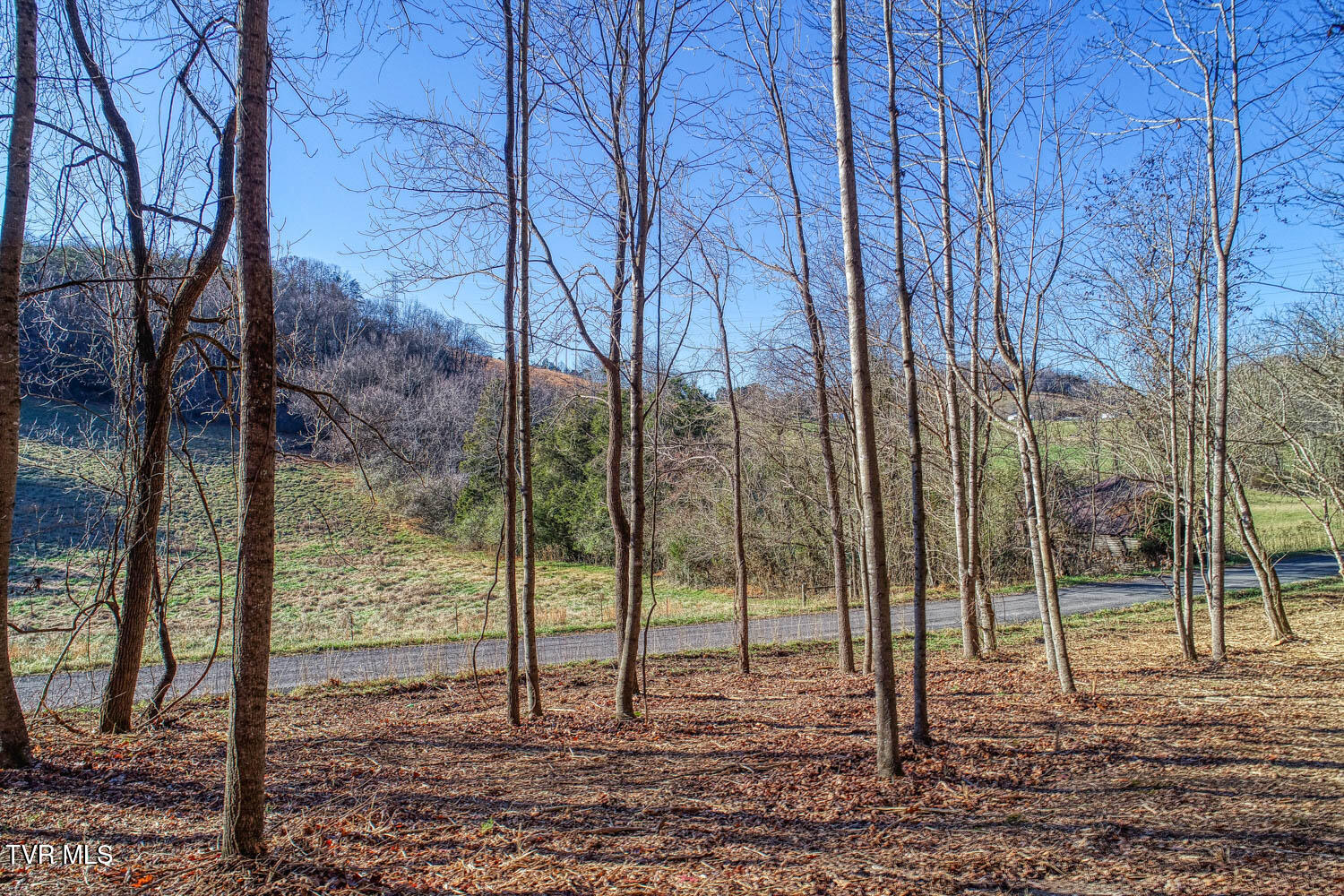 Tbd Flora Road, Rogersville, Tennessee image 46