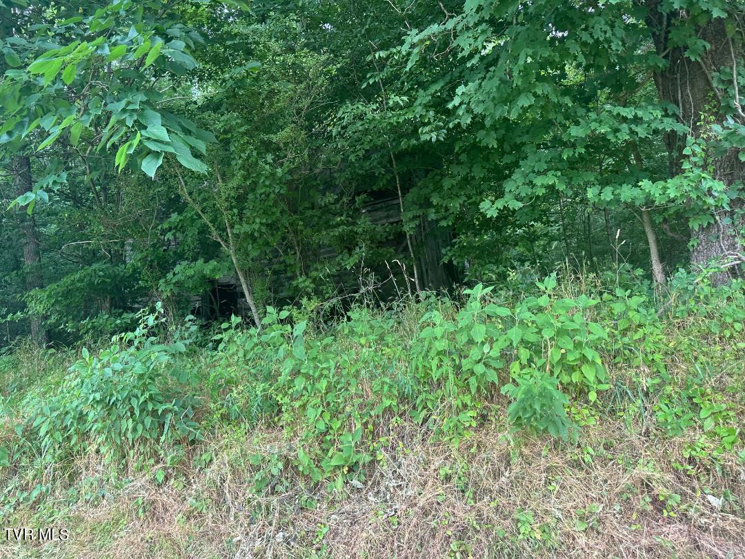 Tbd Flora Road, Rogersville, Tennessee image 21