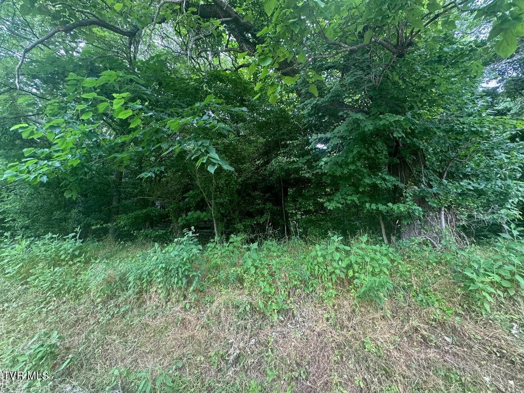 Tbd Flora Road, Rogersville, Tennessee image 20