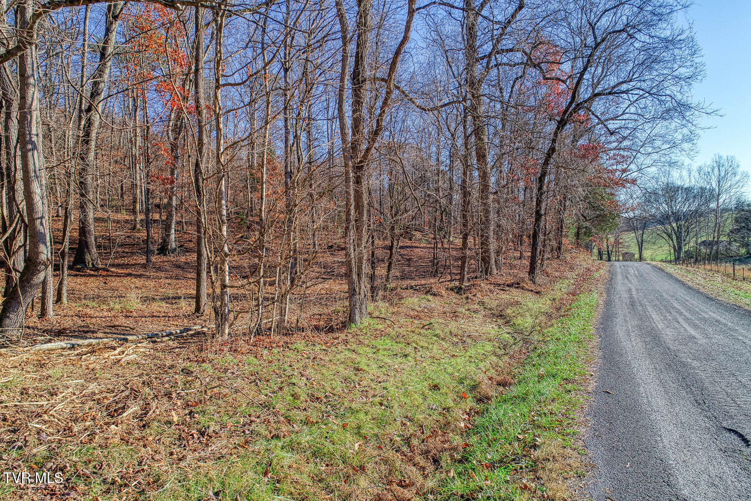 Tbd Flora Road, Rogersville, Tennessee image 48