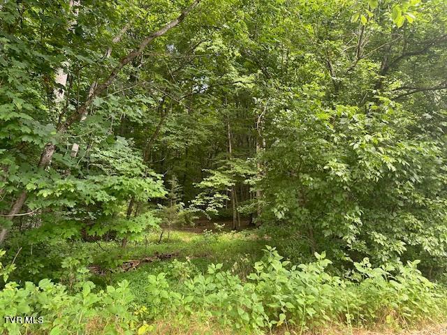 Tbd Flora Road, Rogersville, Tennessee image 5