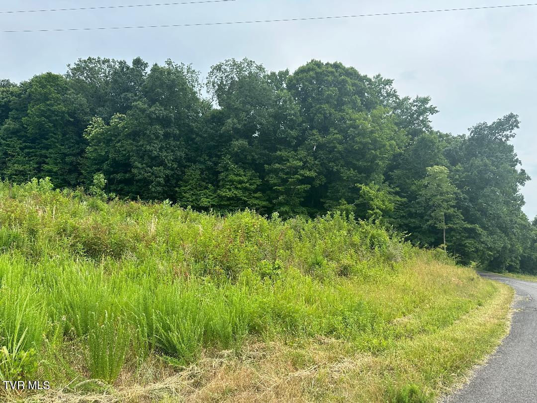 Tbd Flora Road, Rogersville, Tennessee image 1