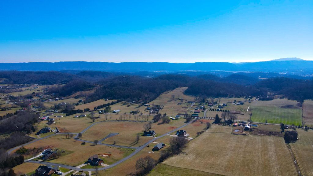Photo of 68 Walnut Tree Drive, Church Hill, TN 37642 (MLS # 9993142)