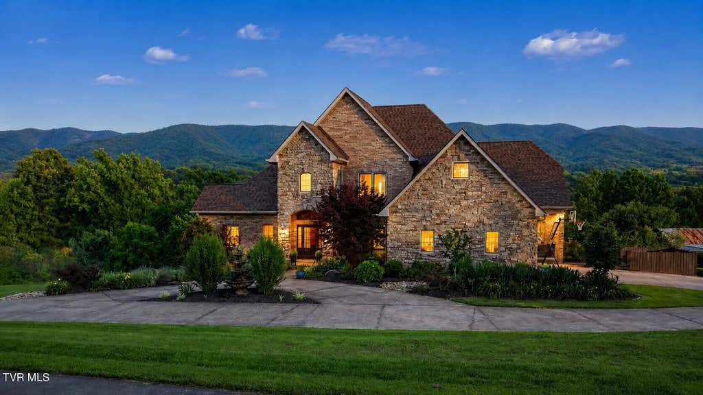 Photo of 1180 Keller Road, Afton, TN 37616 (MLS # 9996712)
