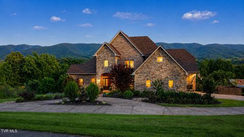 Homes For Sale - 1180 Keller Road<br/> Afton, TN 37616