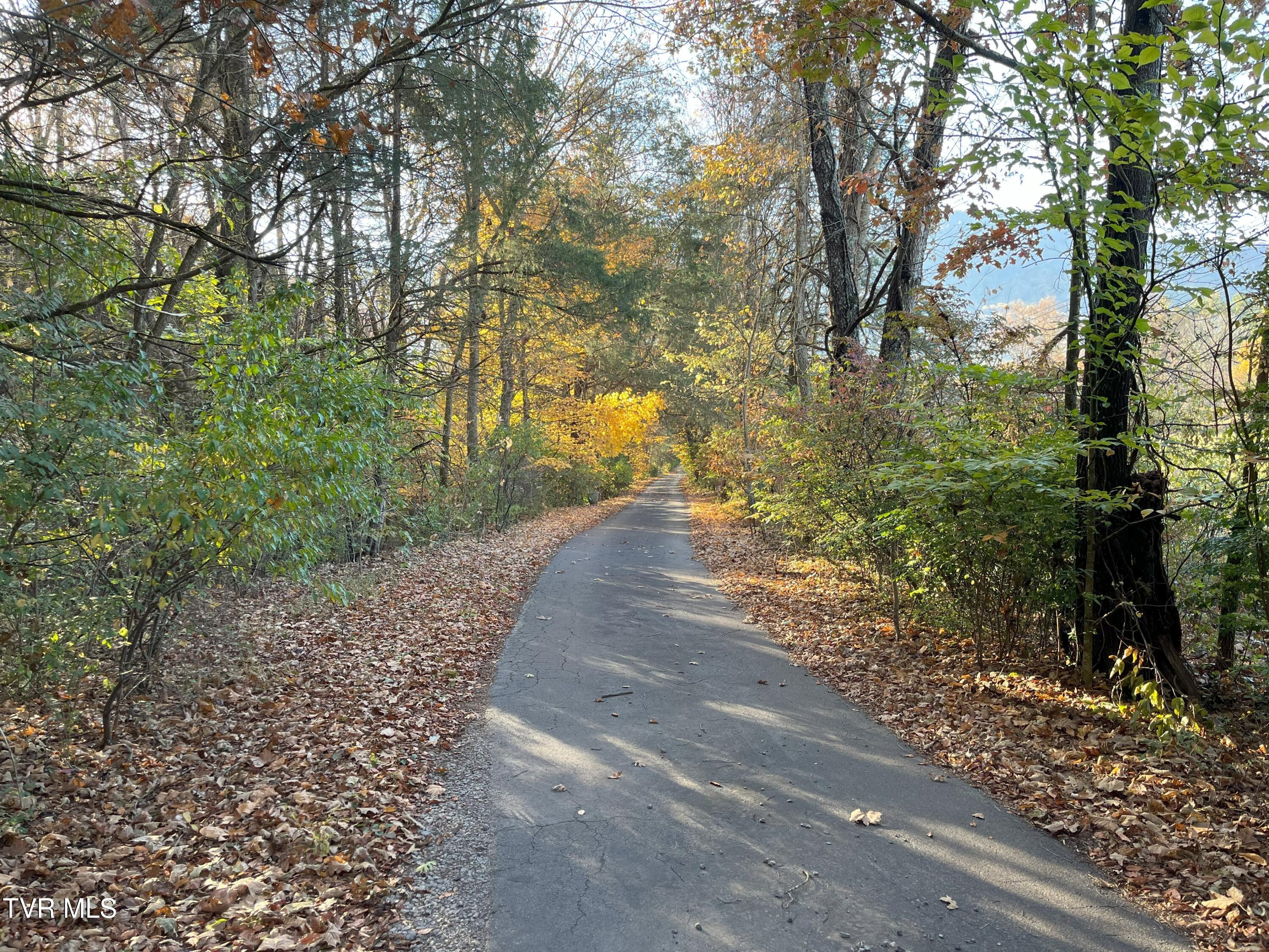 304 Tunnel Drive, Dryden, Virginia image 35