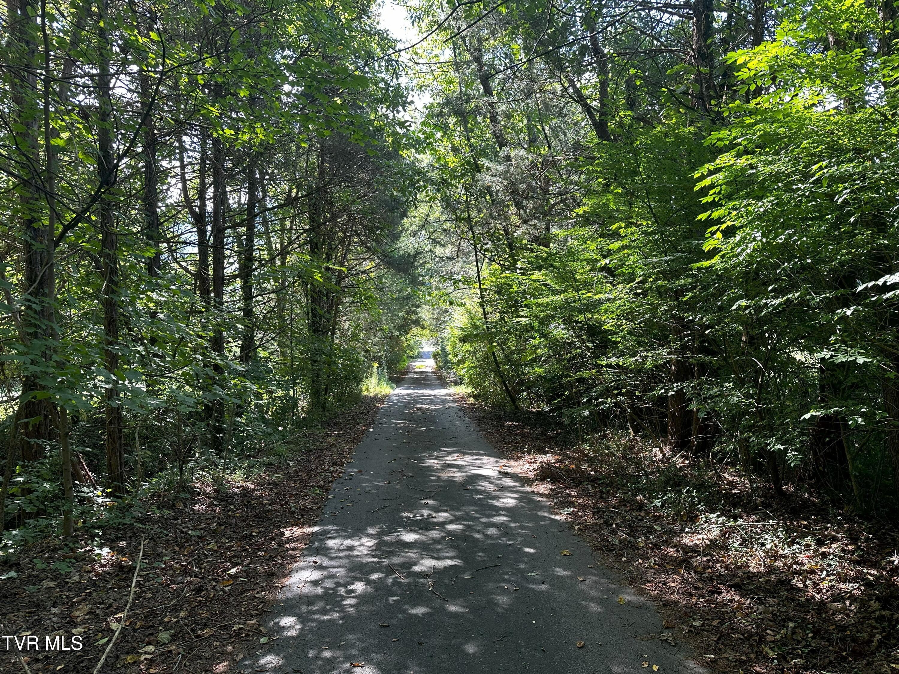 304 Tunnel Drive, Dryden, Virginia image 26